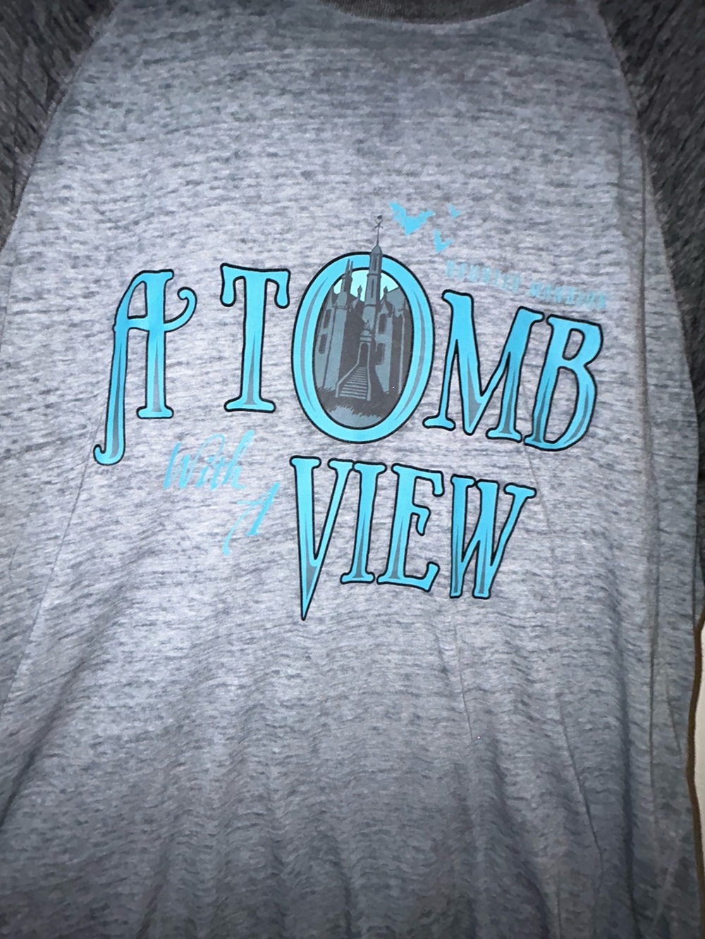 A Tomb With a View Sheer Grey Graphic Tee - Teal Print